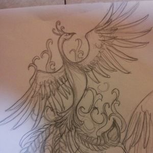 Meet your Posher, Tami